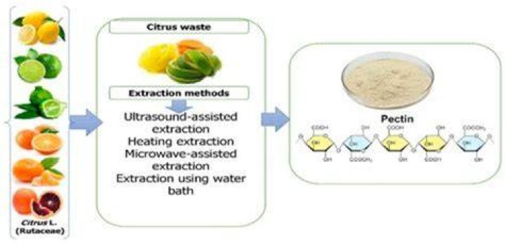 How do you increase citrus production?