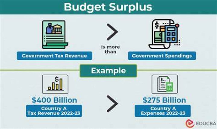 How does a government budget surplus affect the economy?