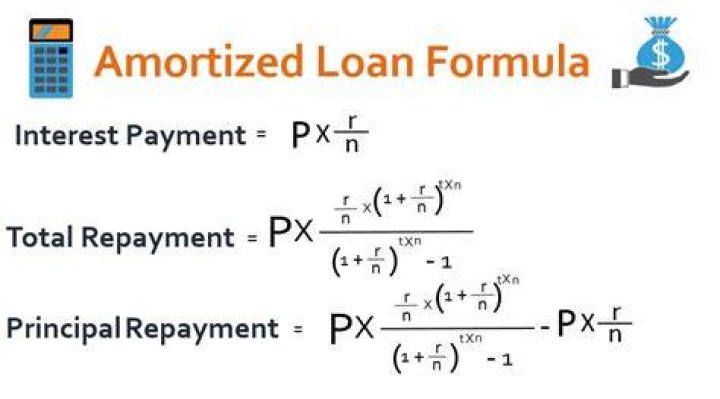 How is the principal repaid in an amortizing loan?