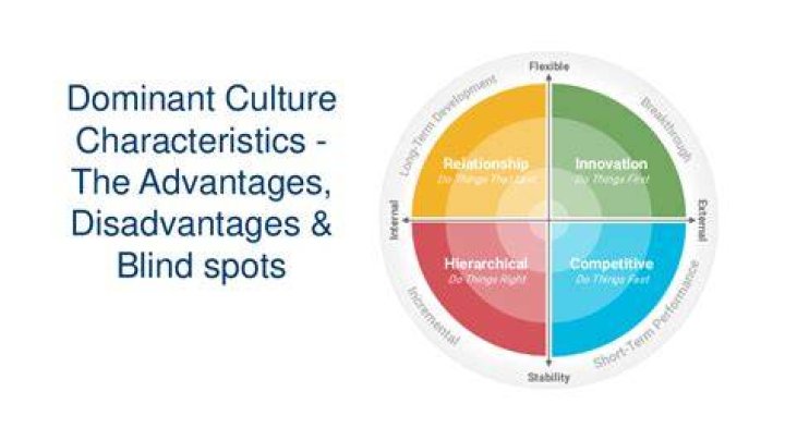 What are the disadvantages of corporate culture?