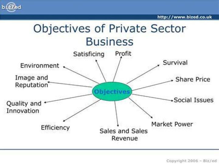 What are the main objectives of the private sector?