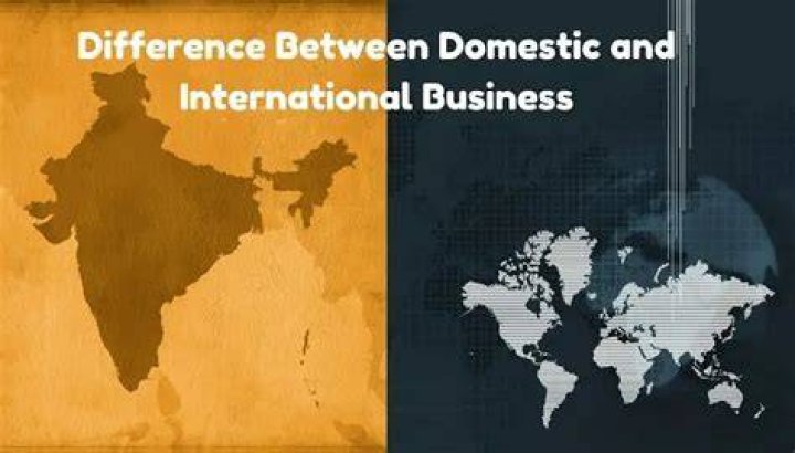 What are the similarities between domestic and international business?