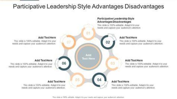 What do you mean by participative management discuss its advantages and disadvantages?