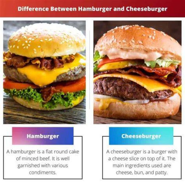 What is the difference between hamburger and Hamburg?