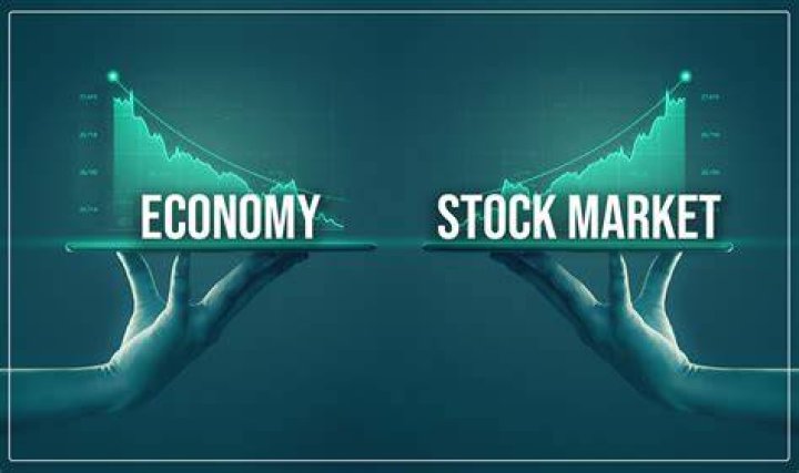 What is the importance of the stock market to the economy?