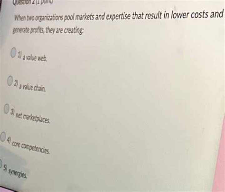 When two organizations pool markets and expertise that result in lower costs and generate profits they are creating quizlet?