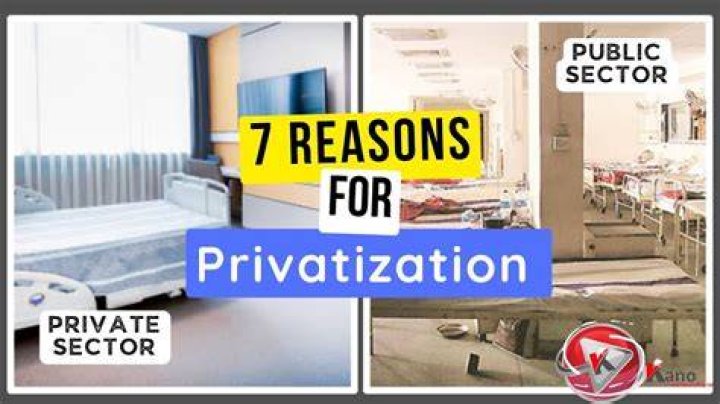 Why would the government privatize a public service?